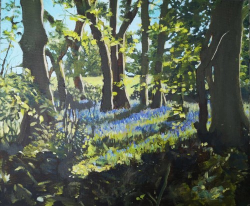 Woodland Bluebells (Edmonstone Series) 