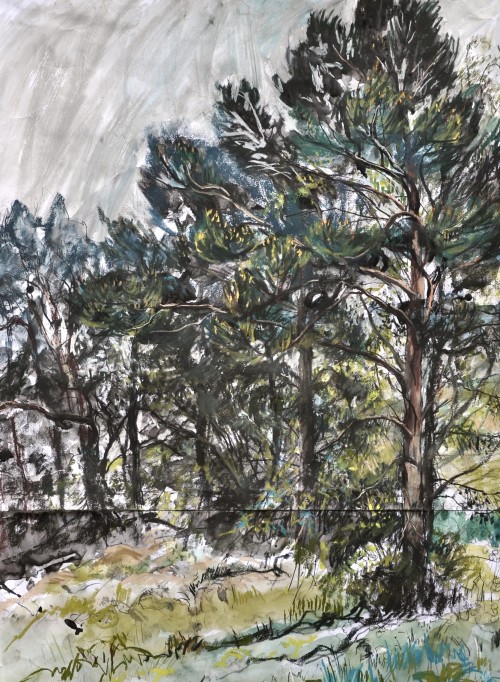  Woodland in spring,  88.5 x 76cm