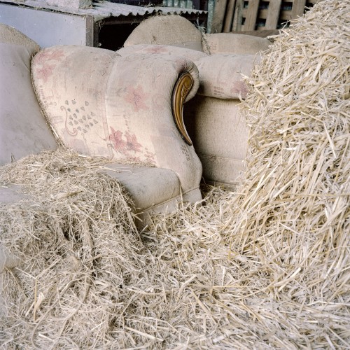 Lambing shed