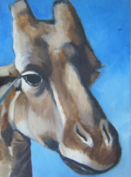 Giraffe Portrait