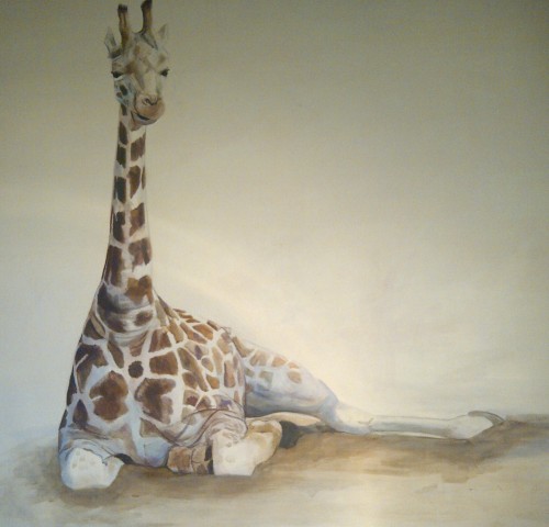 Seated Giraffe