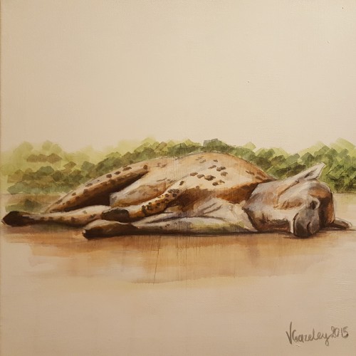 Sleeping Hyena