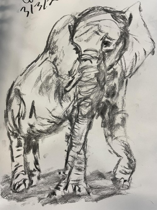 Elephant in Charcoal