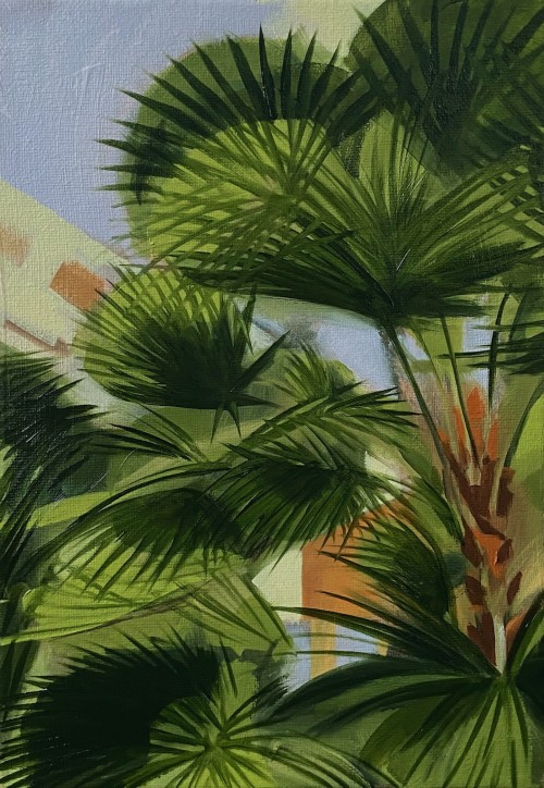 Palms